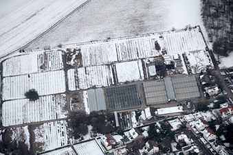 Horticultural room in the district Rüppurr in Karlsruhe in the state Baden-Wuerttemberg, Germany