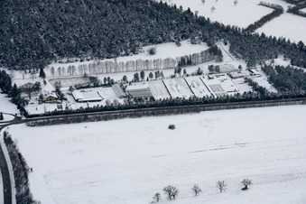 Plant Oasis Ralf Jansen in the district Spielberg in Karlsbad in the state Baden-Wuerttemberg, Germany