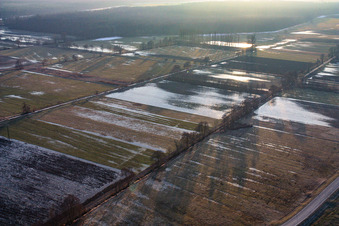 Otterbachtal biotope frozen in Minfeld in the state Rhineland-Palatinate, Germany