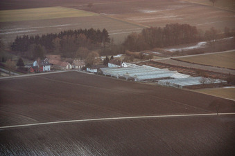 Nursery in Vollmersweiler in the state Rhineland-Palatinate, Germany from above