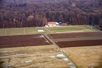 Sports fields TSV 1908 Freckenfeld in Freckenfeld in the state Rhineland-Palatinate, Germany