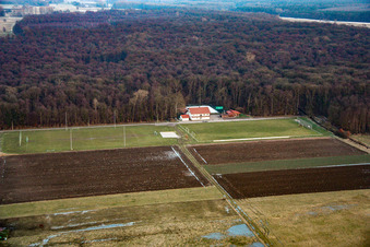 Aerial view of Sports fields TSV 1908 Freckenfeld in Freckenfeld in the state Rhineland-Palatinate, Germany