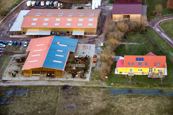 Bienwald Icelandic Horse Stud in Freckenfeld in the state Rhineland-Palatinate, Germany