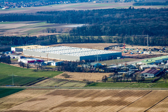 Construction of a new logistics hall in the Am Horst industrial estate in the district Minderslachen in Kandel in the state Rhineland-Palatinate, Germany viewn from the air
