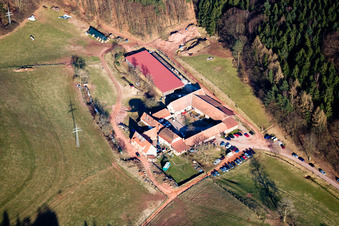 Aerial view of Bärenbrunnerhof in Busenberg in the state Rhineland-Palatinate, Germany