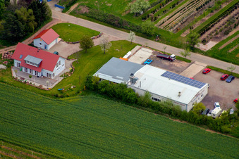 Reiner Hauser in Oberhausen in the state Rhineland-Palatinate, Germany