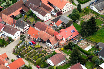 Helmut Scholl, landscape gardener in Oberhausen in the state Rhineland-Palatinate, Germany