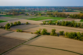 View of the town from the south in Leimersheim in the state Rhineland-Palatinate, Germany