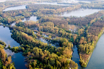 River delta and stream mouth on the Rhine in Eggenstein-Leopoldshafen in the federal state Baden-Wurttemberg