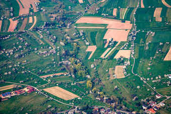 Blossoming trees of fruit on fields in the district Schwann in Straubenhardt in the state Baden-Wurttemberg