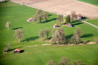 Haystacks in spring in Raisting in the state Bavaria, Germany