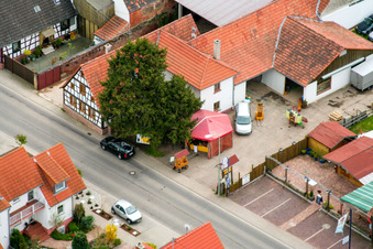 Fruit and vegetable growers Gunter and Renata in Hergersweiler in the state Rhineland-Palatinate, Germany