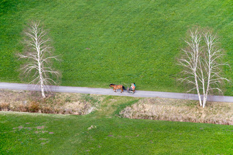Horse vehicle in traffic along the Landstrasse in Raisting in the state Bavaria