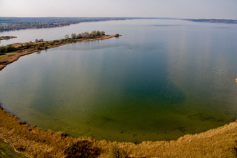 Riparian areas on the lake area of Ammersee in Diessen am Ammersee in the state Bavaria