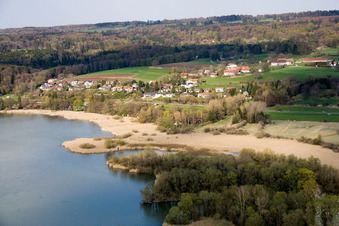 Reed bank at Ammersee near Aidenried in Ammersee in the state Bavaria, Germany
