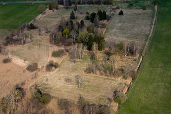 Bird sanctuary on the south shore of Lake Ammersee in the district Mitterfischen in Pähl in the state Bavaria, Germany