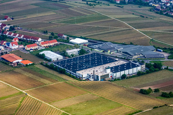 Aerial view of Building and production halls on the premises of Wellpappenfabrik GmbH in the district Sausenheim in Gruenstadt in the state Rhineland-Palatinate