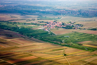 Golf Garden German Wine Route - Dackenheim - GOLF absolute in Dackenheim in the state Rhineland-Palatinate, Germany