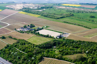 Weingut Haus Sonnenberg in Neuleiningen in the state Rhineland-Palatinate, Germany