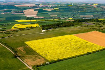 Tiefenthal model airfield in the district Sausenheim in Grünstadt in the state Rhineland-Palatinate, Germany
