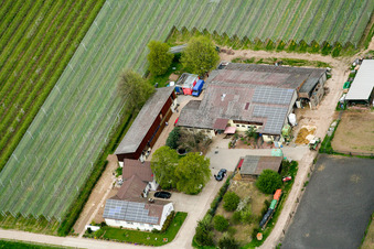 Lindenhof in Steinweiler in the state Rhineland-Palatinate, Germany from above