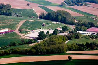 Haras al Née in Neewiller-près-Lauterbourg in the state Bas-Rhin, France