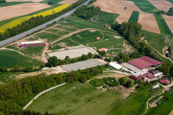 Haras de la Neée in Neewiller-près-Lauterbourg in the state Bas-Rhin, France out of the air
