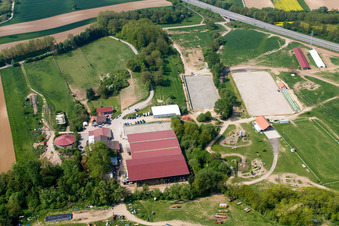 Haras de la Neée in Neewiller-près-Lauterbourg in the state Bas-Rhin, France viewn from the air