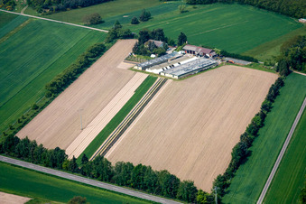 Bösherz Hof in the district Neulauterburg in Berg in the state Rhineland-Palatinate, Germany