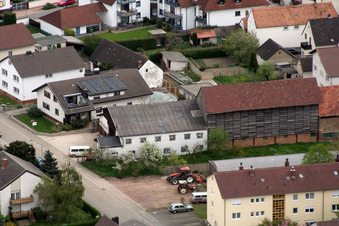 Asparagus Schowalter in Kandel in the state Rhineland-Palatinate, Germany