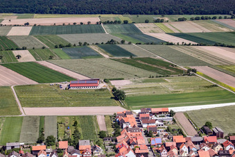 Seehof Horse Boarding in Hatzenbühl in the state Rhineland-Palatinate, Germany