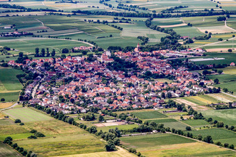 Village view from the east in Minfeld in the state Rhineland-Palatinate, Germany