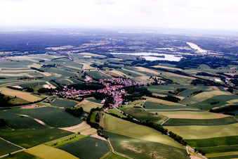 Bird's eye view of Neewiller-près-Lauterbourg in the state Bas-Rhin, France