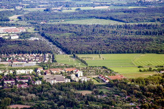 Heidenstücker Cemetery in the district Grünwinkel in Karlsruhe in the state Baden-Wuerttemberg, Germany