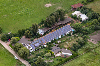 Horse farm in the washing alley in Billigheim-Ingenheim in the state Rhineland-Palatinate, Germany