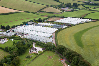 Marldon in the state England, Great Britain