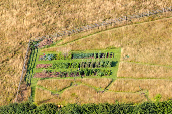 Newton/Two Mile Oak Cross