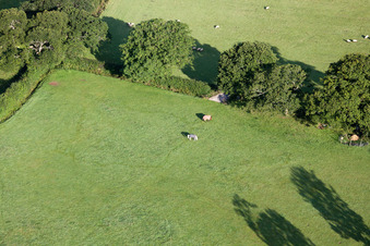Abbotskerswell in the state England, Great Britain seen from a drone