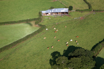 Aerial view of Abbotskerswell in the state England, Great Britain