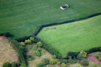 Ipplepen in the state England, Great Britain viewn from the air