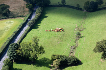 Drone recording of Ipplepen in the state England, Great Britain