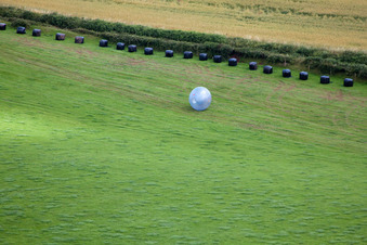 Oblique view of Marldon in the state England, Great Britain