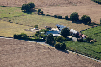La Petite Franchaise (Apiculteur) in Coudrecieux in the state Sarthe, France