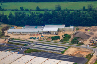 Horst Industrial Estate, Thermo Fisher in the district Minderslachen in Kandel in the state Rhineland-Palatinate, Germany