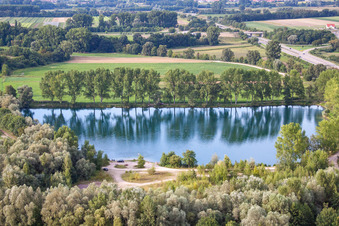 Shore areas of the ponds for fish farming in Rheinzabern in the state Rhineland-Palatinate