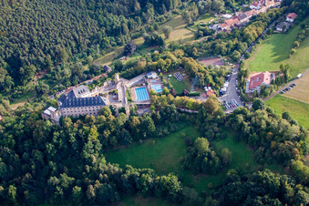 Aerial view of Altleiningen in the state Rhineland-Palatinate, Germany