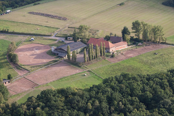 Homestead of a farm Gartenhof in the district Hoeningen in Altleiningen in the state Rhineland-Palatinate