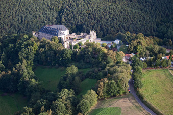 Altleiningen in the state Rhineland-Palatinate, Germany from the drone perspective