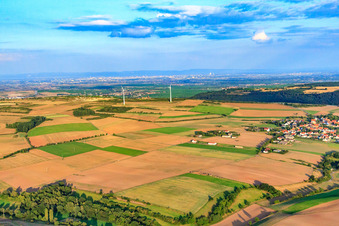Aerial view of Grünstadt Community Hill in Neuleiningen in the state Rhineland-Palatinate, Germany