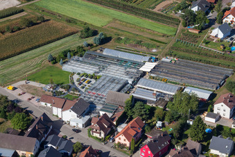 Aerial view of Glass roof surfaces in the greenhouse rows for Floriculture in the district Bodersweier in Kehl in the state Baden-Wurttemberg